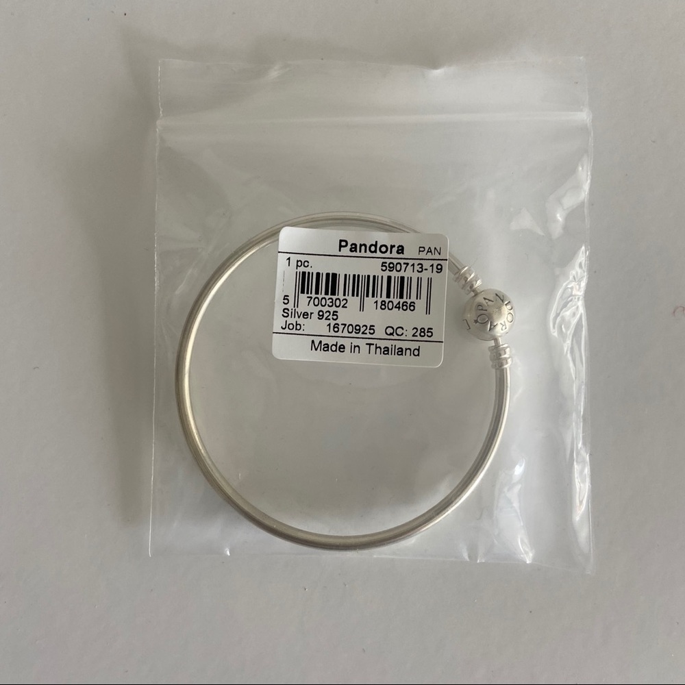 NWT Pandora Moments Bangle Sterling Silver